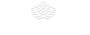 Finn Financial Group